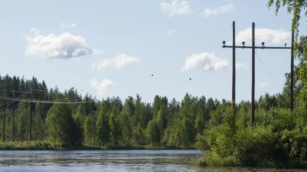 Lintupallot sähkölinjassa